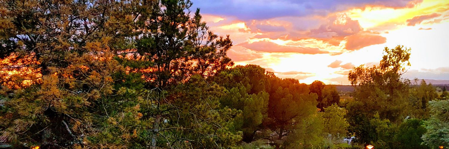 MariaLuisaZarag's profile banner image