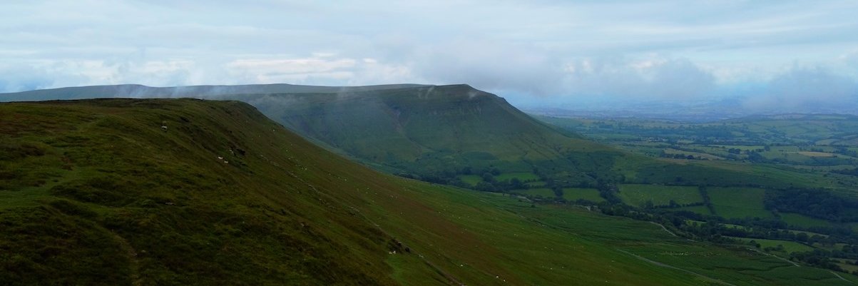 Reece 'Taii' Sowter banner