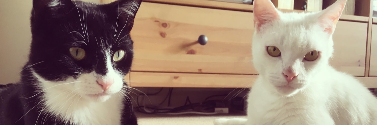 StephGHall's profile banner image