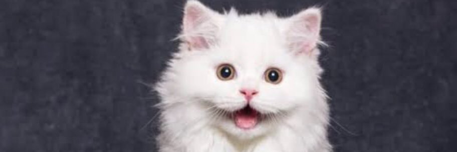 omerkestane's profile banner image