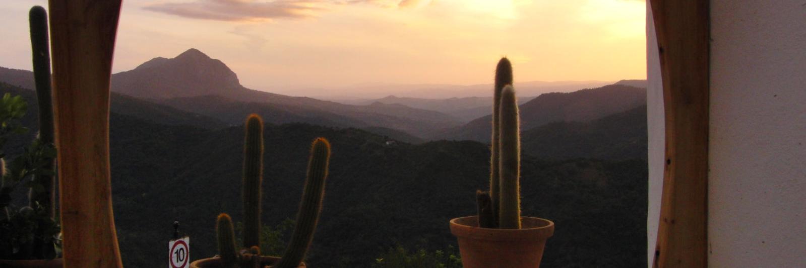 munieca27's profile banner image