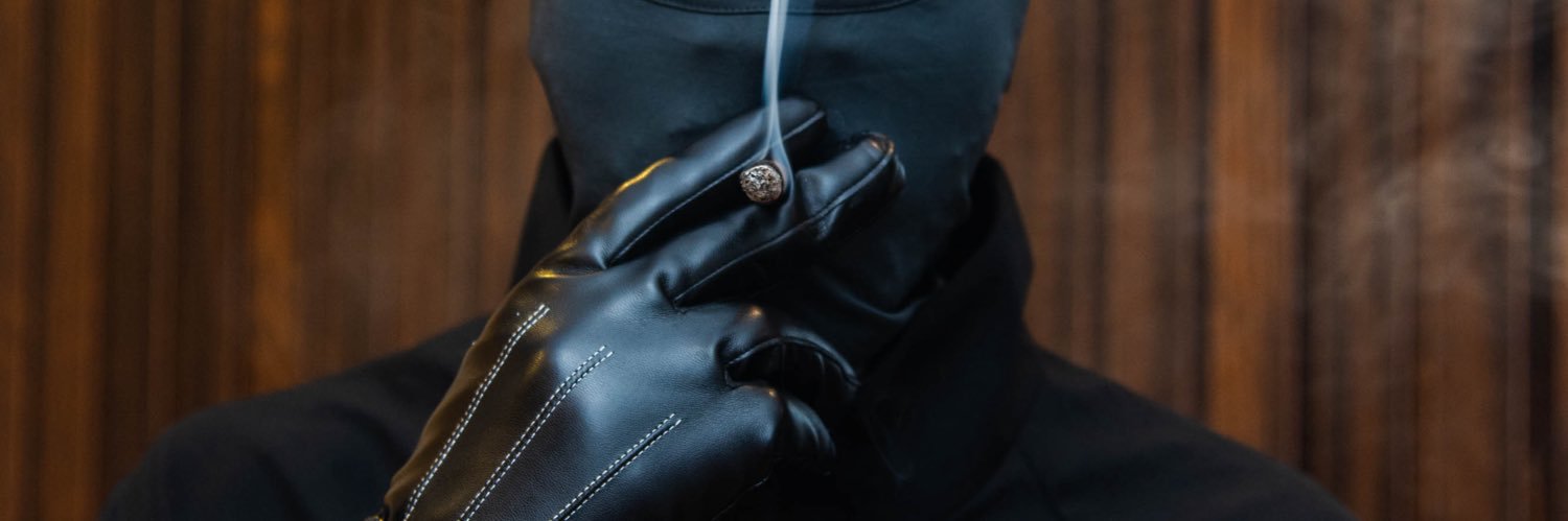 Noblesirvant's profile banner image