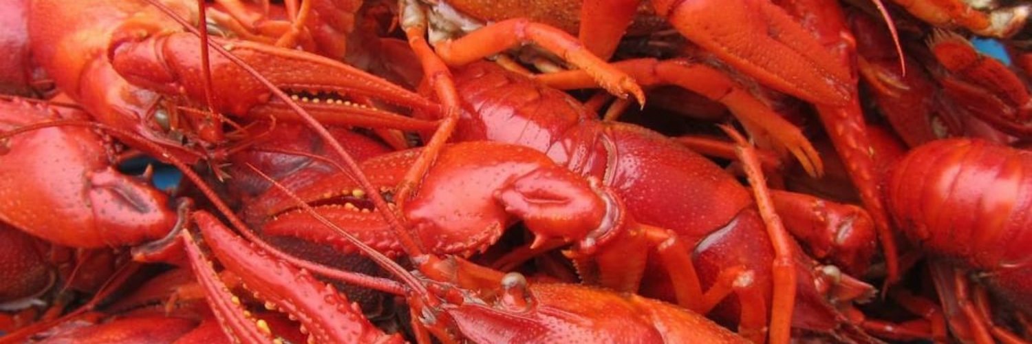 ShellShackPlano's profile banner image