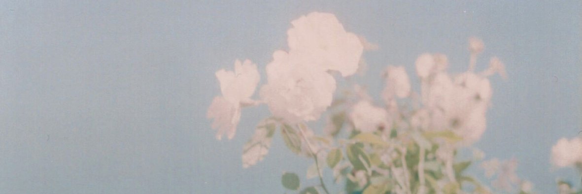 hugmesabatini's profile banner image