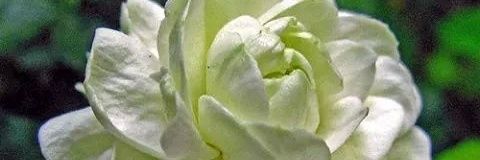 EcSekaran's profile banner image