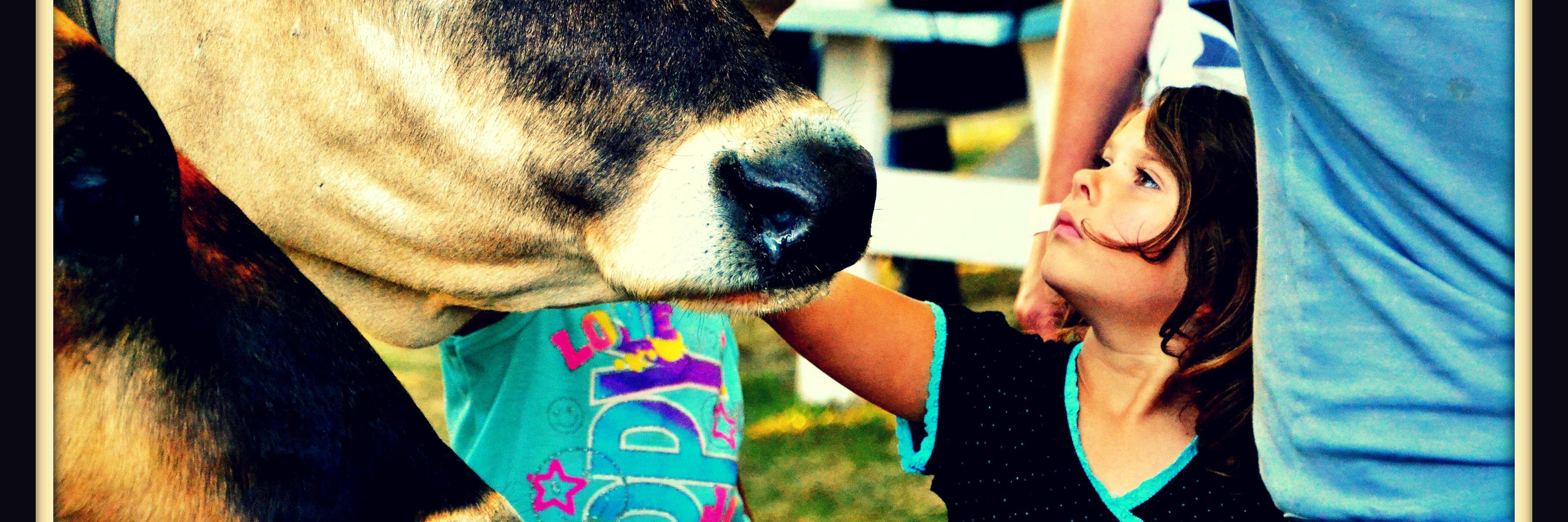 BromeFair's profile banner image
