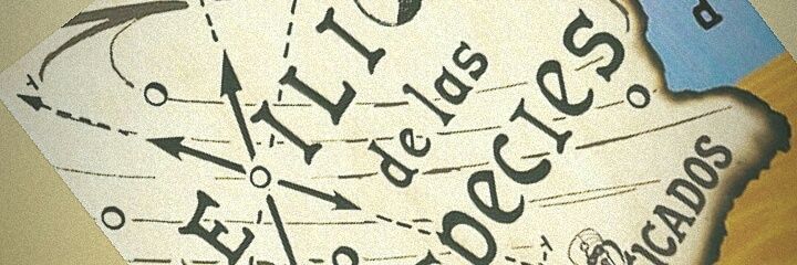 Leliaa4's profile banner image