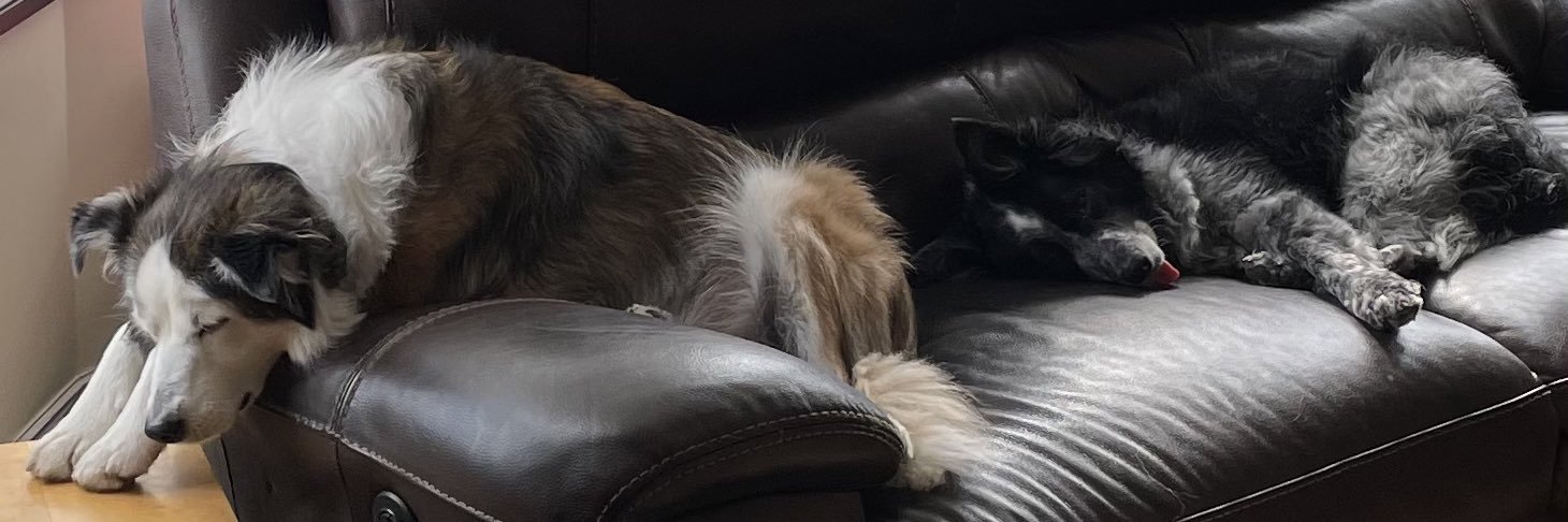 Stephen Savage banner