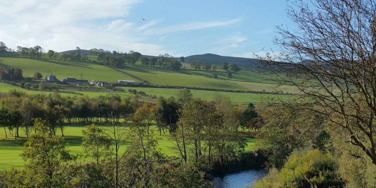 Liddane banner
