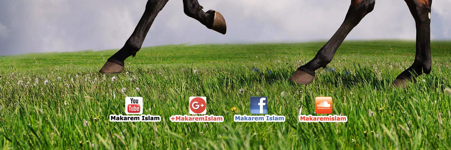 makaremislam's profile banner image