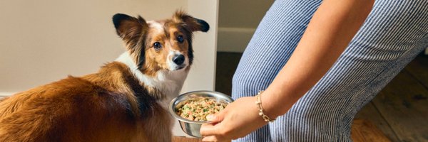 thefarmersdog Profile Banner