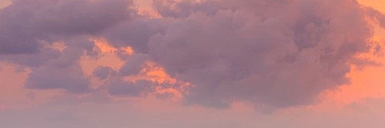 Selfcaretips542's profile banner image