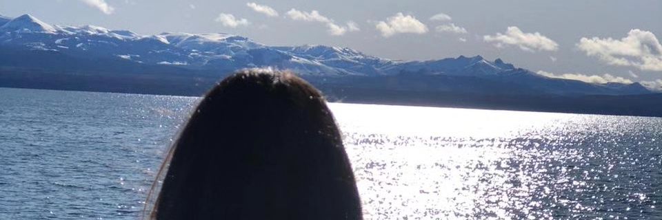 vaneh96's profile banner image