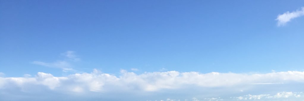 Gabriele Morandin banner