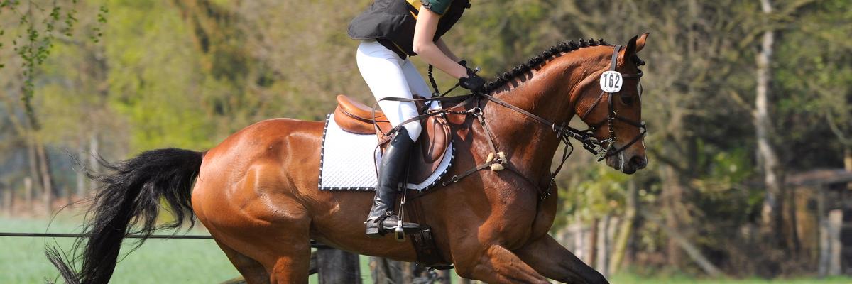 EMMAEventing's profile banner image