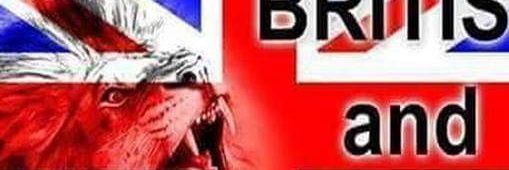 dessydoghead's profile banner image