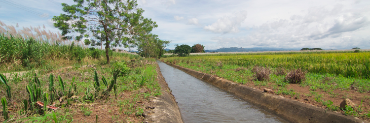Benjamin P. Warner banner
