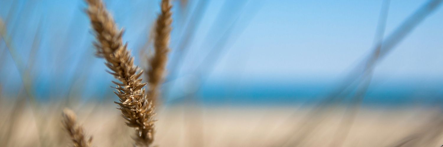 Serandreu's profile banner image