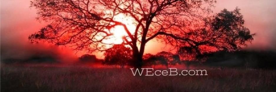 weceb_com's profile banner image