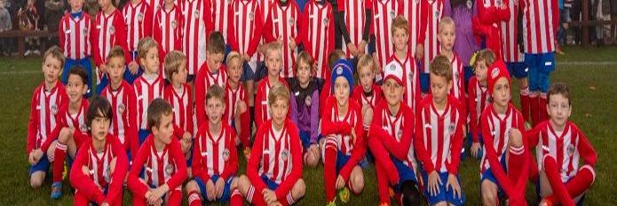 dwfcyouth's profile banner image