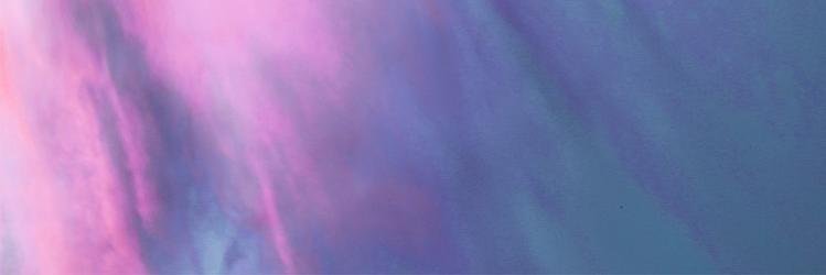 Sónida Collective banner