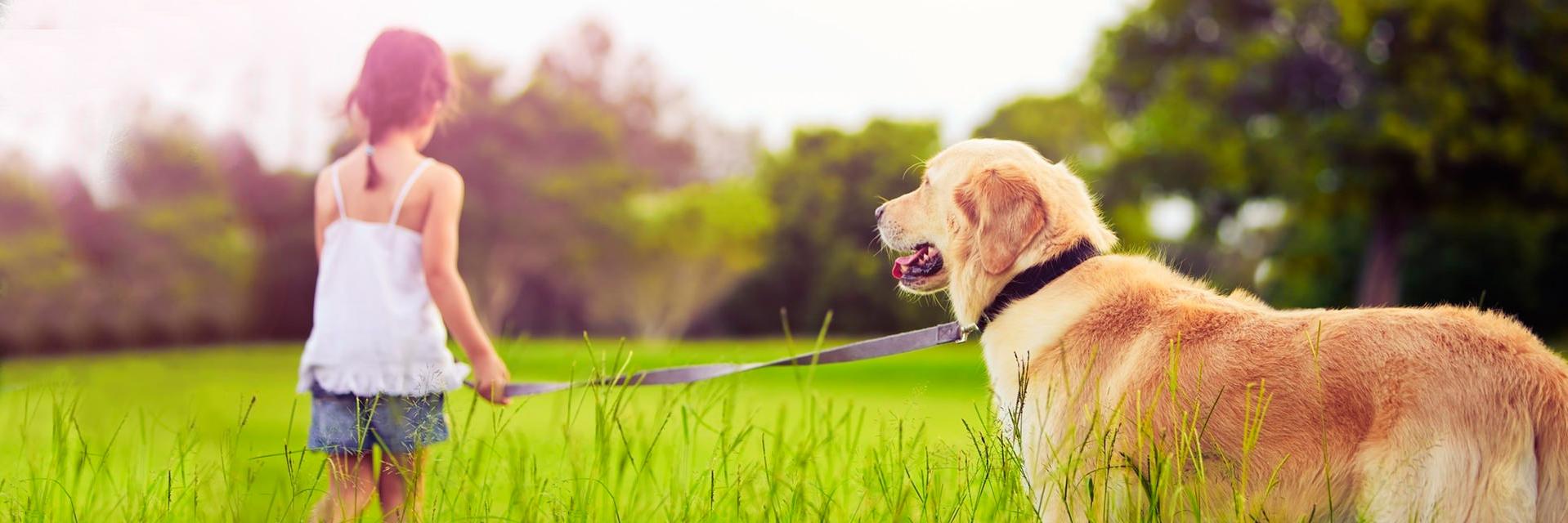 charmingpets1's profile banner image