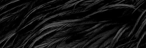 JubileusCries's profile banner image
