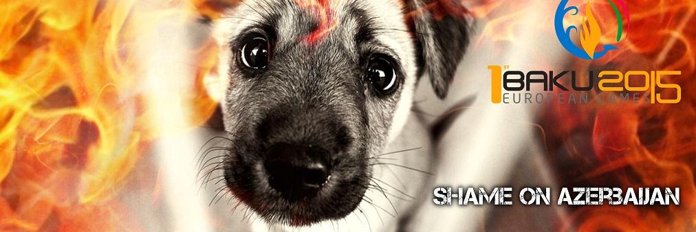 ShameOnAZ's profile banner image