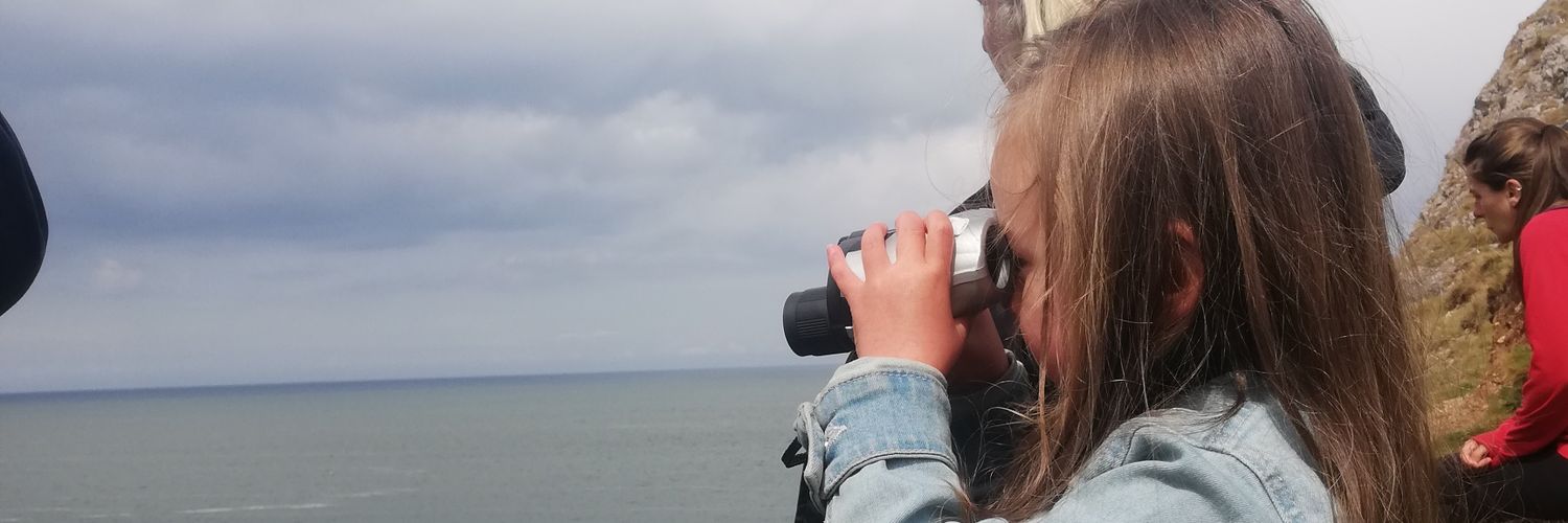 caveamanda321's profile banner image