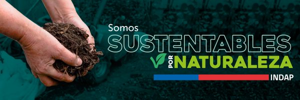 INDAP_Chile Profile Banner
