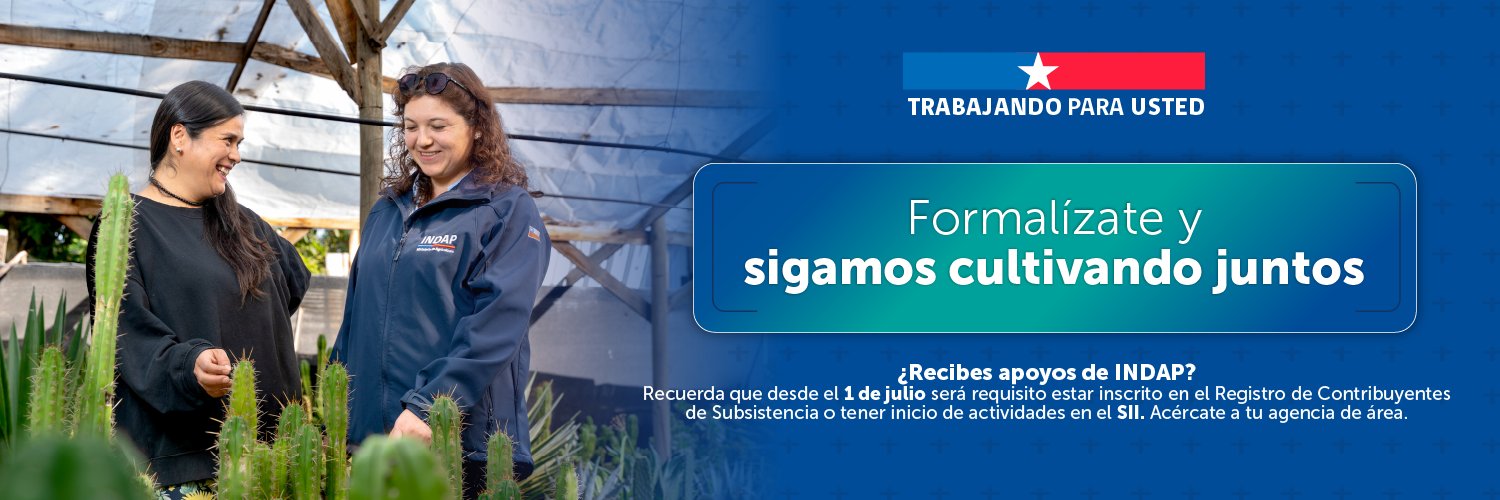INDAP_Chile banner