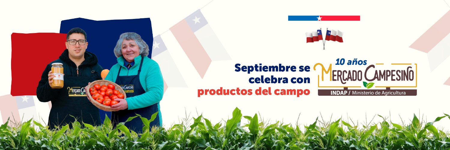 INDAP_Chile's profile banner image