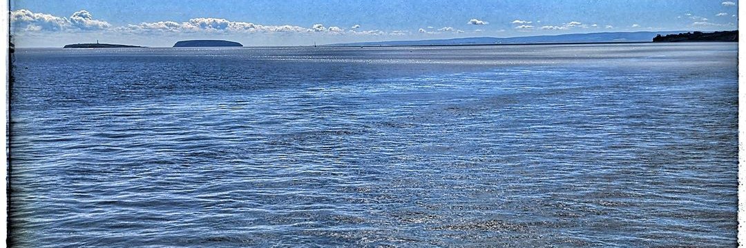 Tha Bazza ag ionnsachadh #Gàidhlig banner