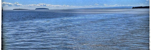 BarriMoc Profile Banner