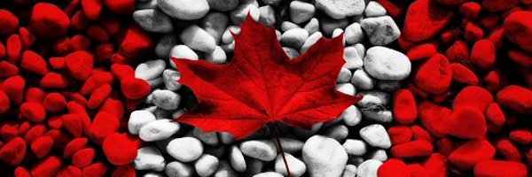 PatCdnEmbassy Profile Banner