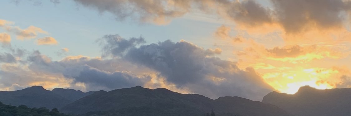 Tim Napier-Hemy banner