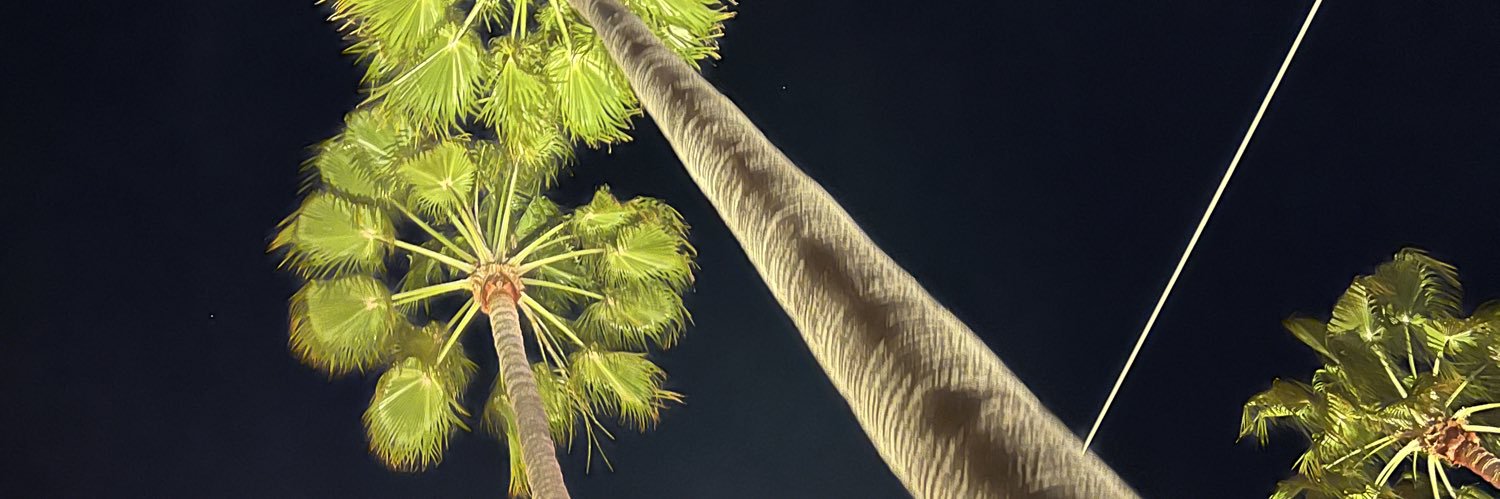 CatalinaCMXP's profile banner image
