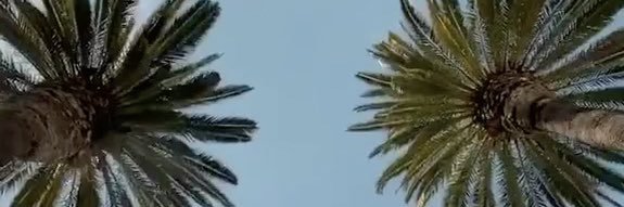 MiamiMasterson's profile banner image