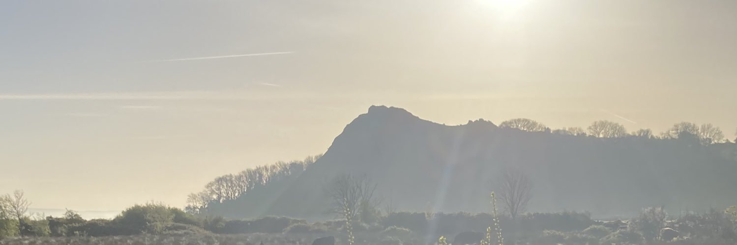 Sam Wilkinson banner