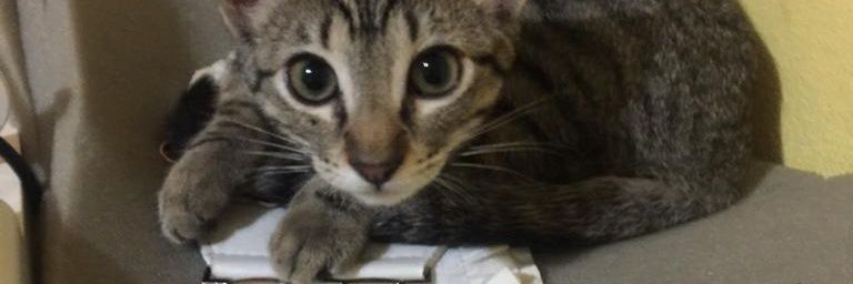 krloz_Rd's profile banner image