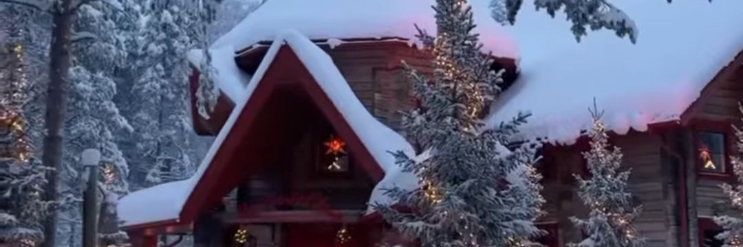 𝕯𝖊𝖓𝖎𝖟 banner