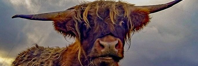 🅰️ｌｉｓｔａｉｒ😷 banner