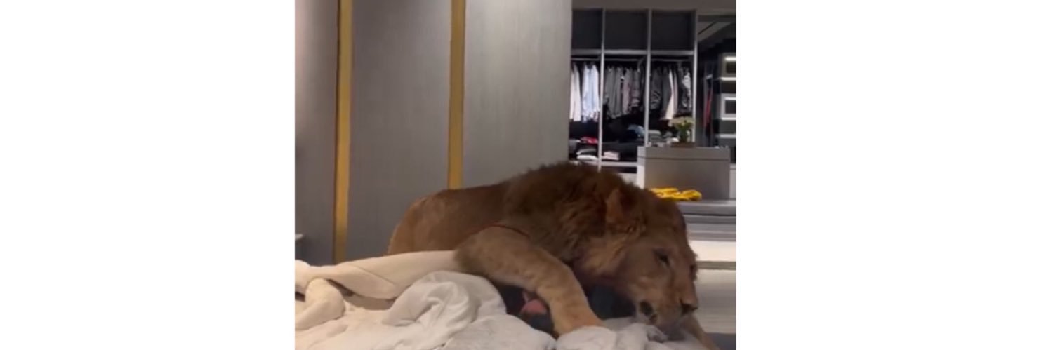 بو جاسم banner