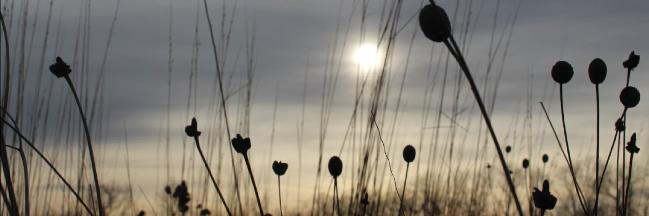 Heartland Pursuit™ banner