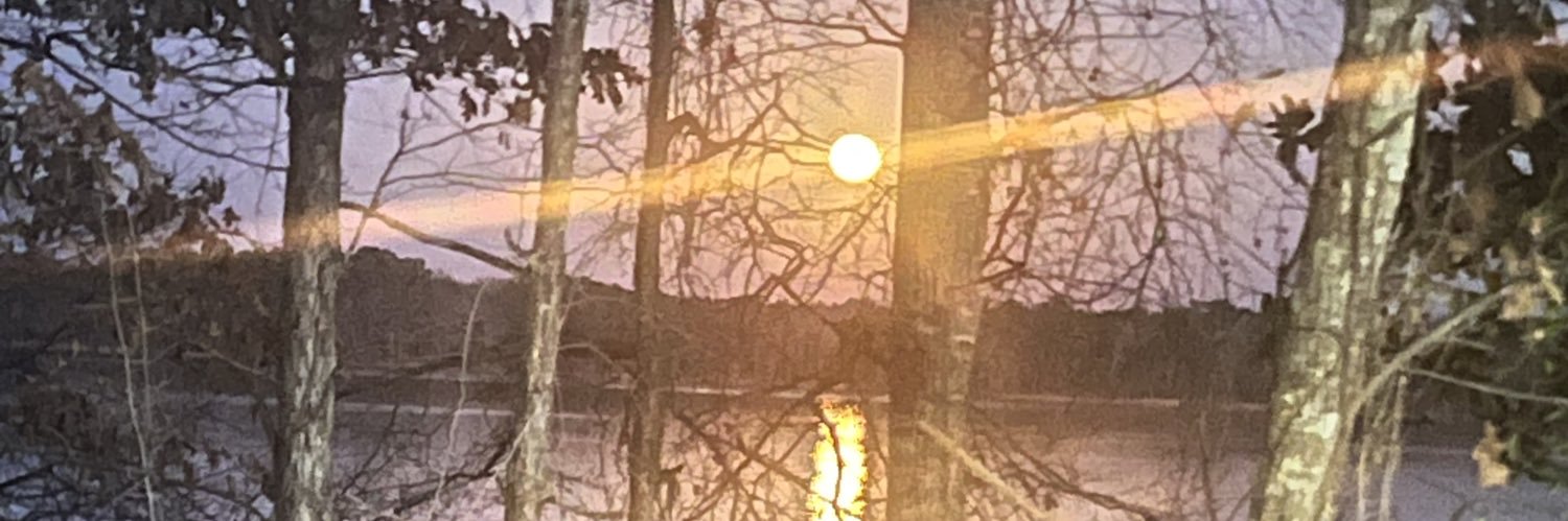 andrea_chardae's profile banner image