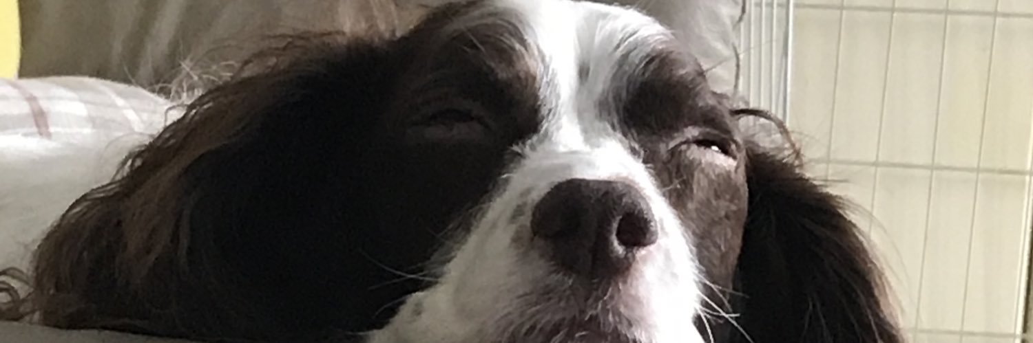 Olly_Oakes's profile banner image