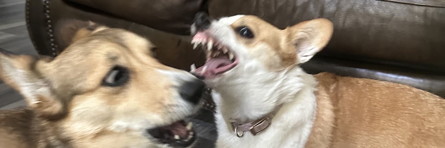 joshblanks5's profile banner image