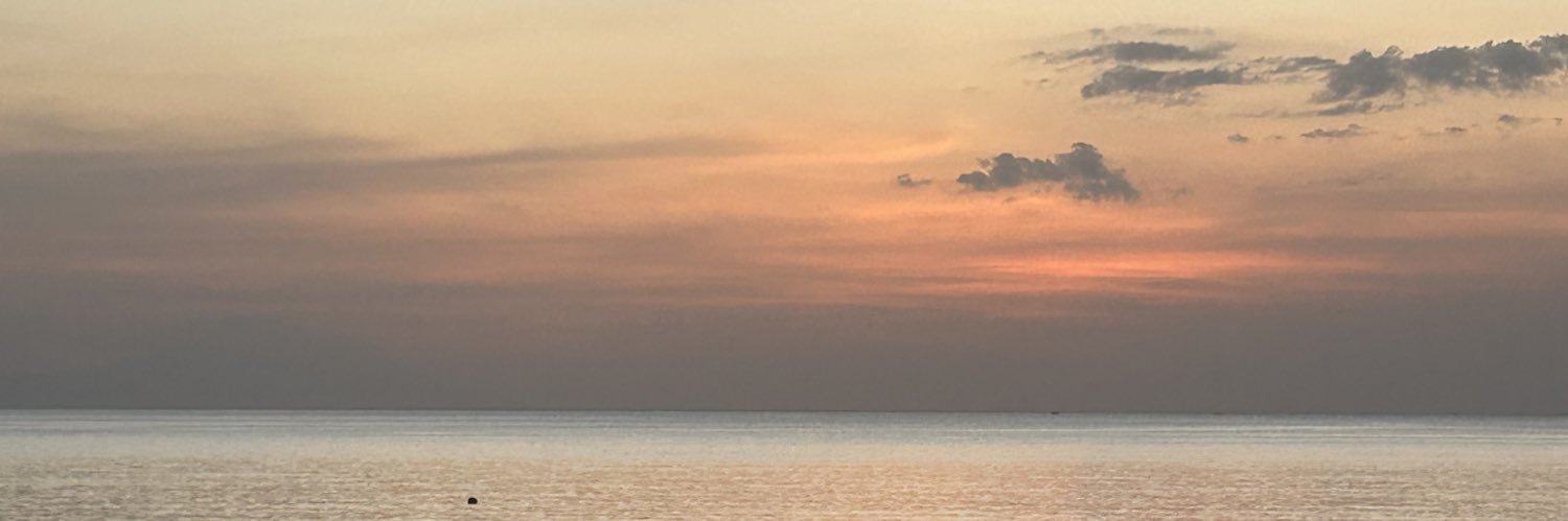 nnemelissa's profile banner image