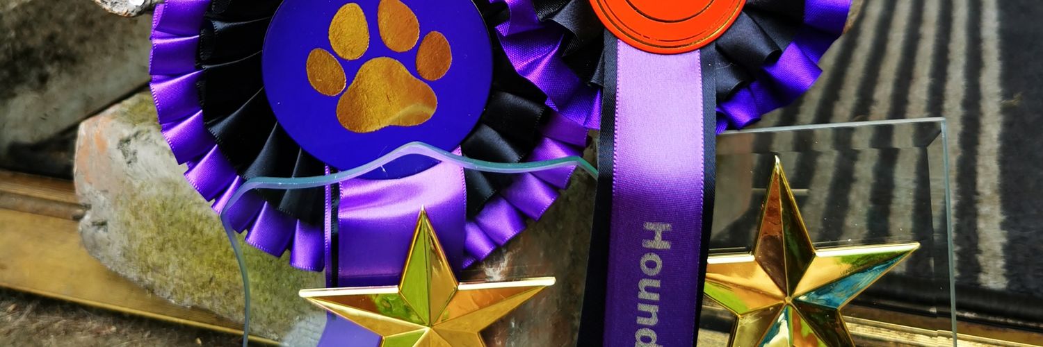 TopKnotsPetSpa's profile banner image