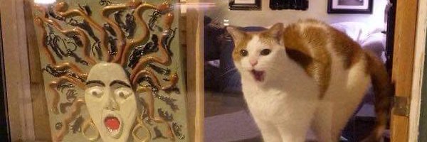 Laughingrat Profile Banner